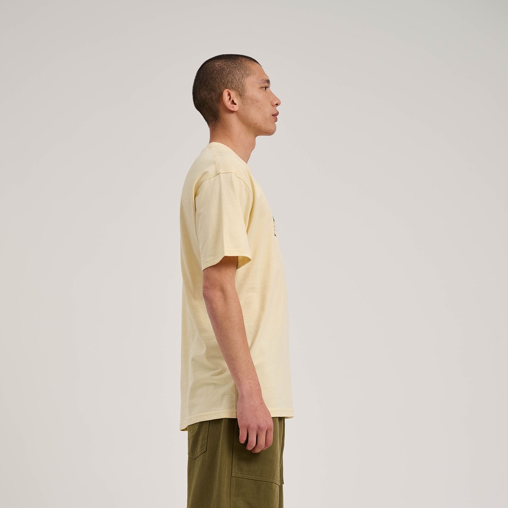 SCA-TEE-12334