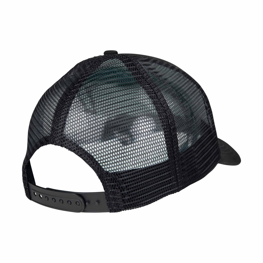 SCA-CAP-9538_1