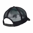 SCA-CAP-9538_1
