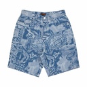 Big Shorts
