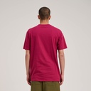 SCA-TEE-12286