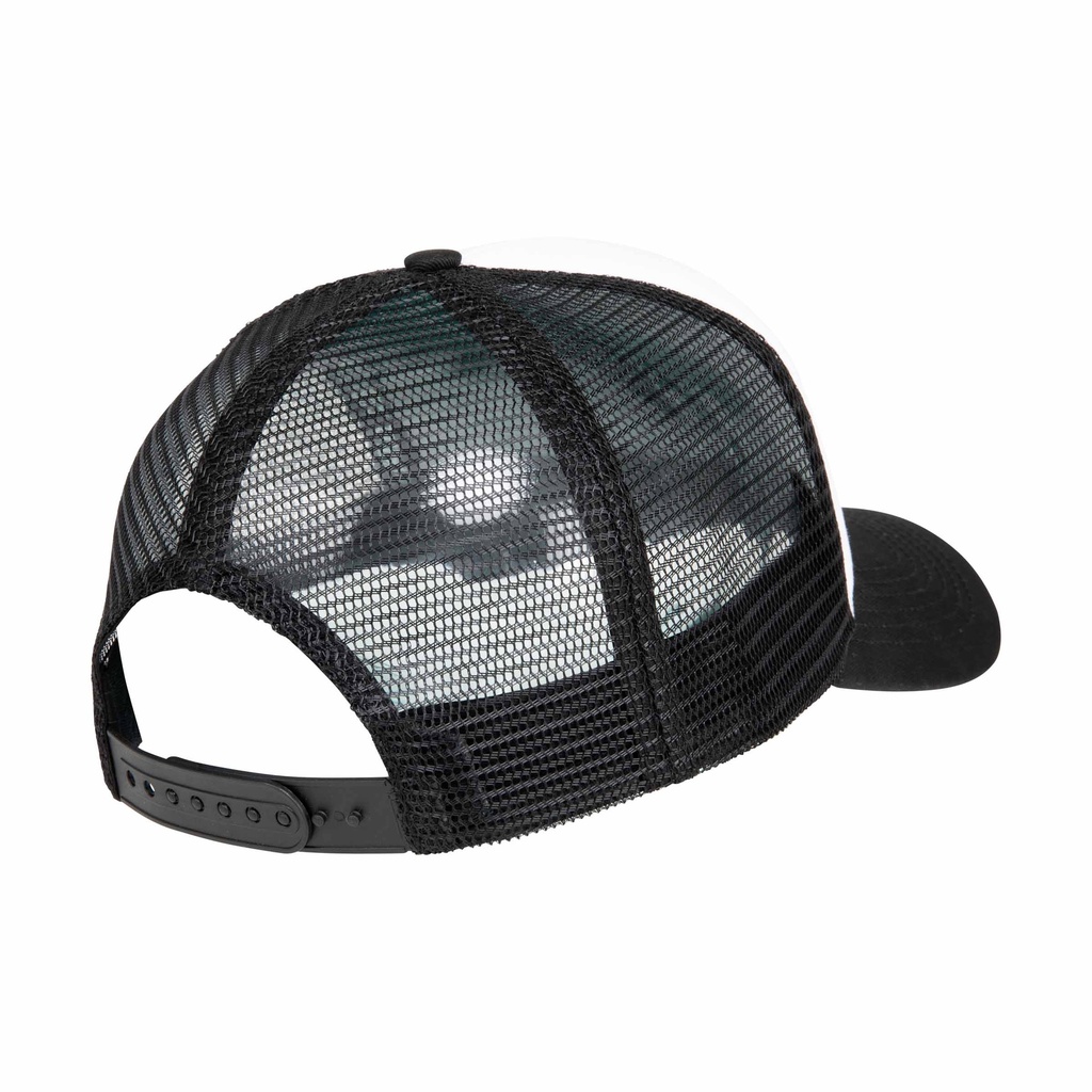 SCA-CAP-9562_1