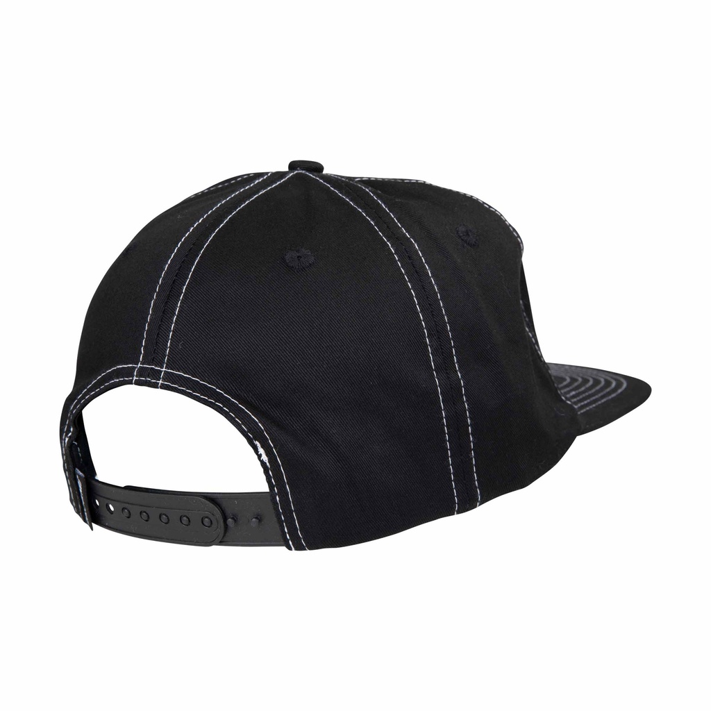 SCA-CAP-9541_1