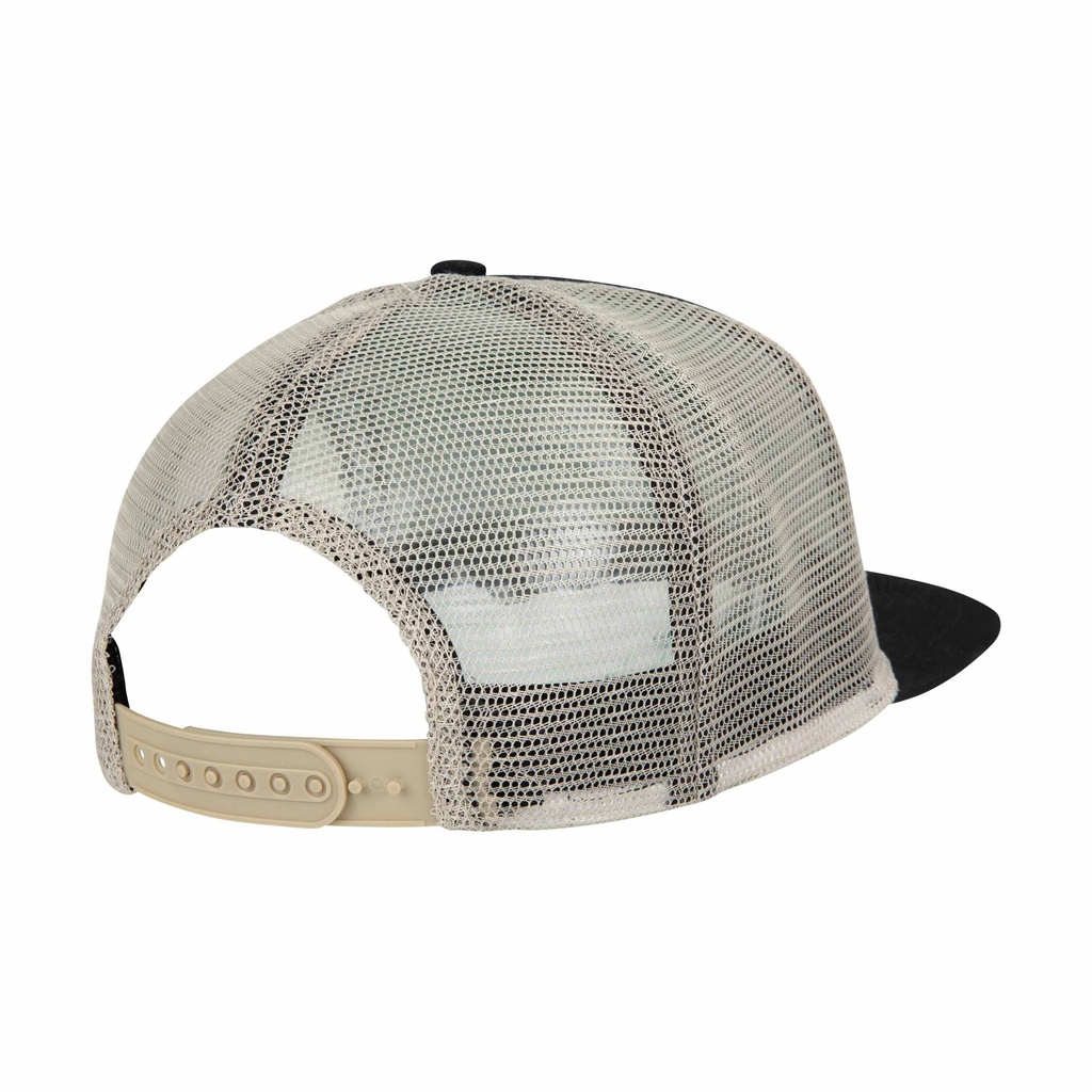 SCA-CAP-9548_1