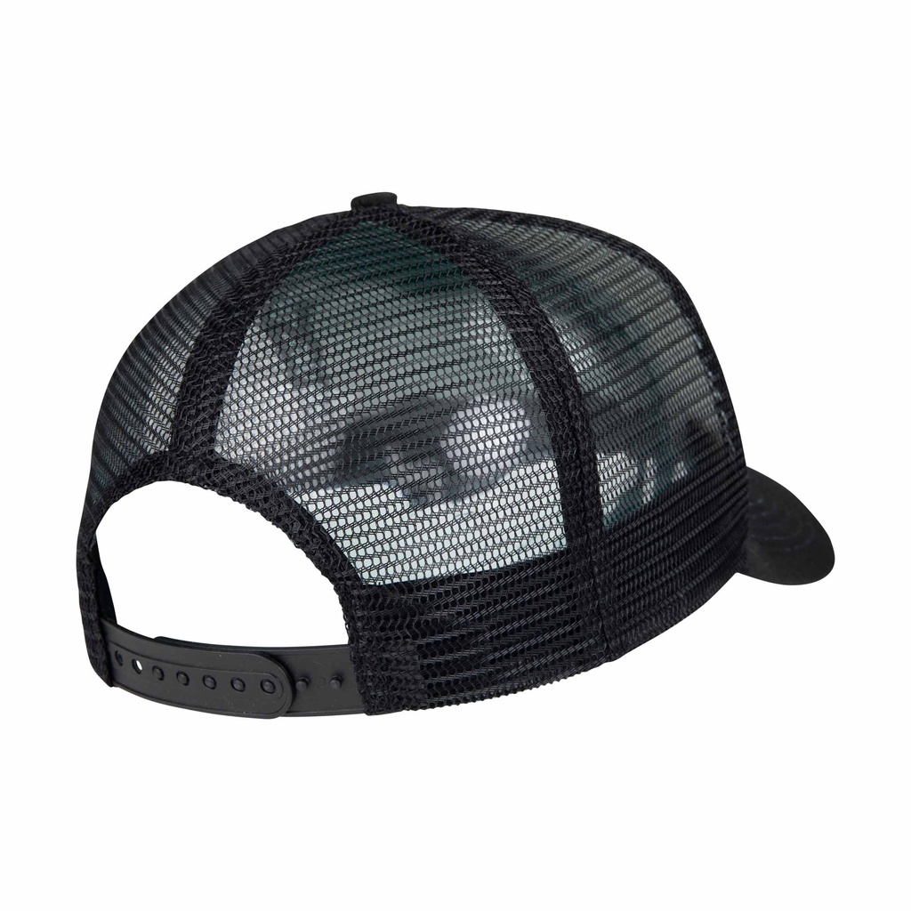 SCA-CAP-9551_1