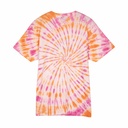 SCA-TEE-13323_1