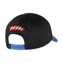 SCA-CAP-9571_1