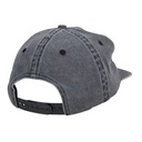 SCA-CAP-0399