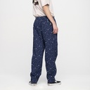 SCA-PNT-0921