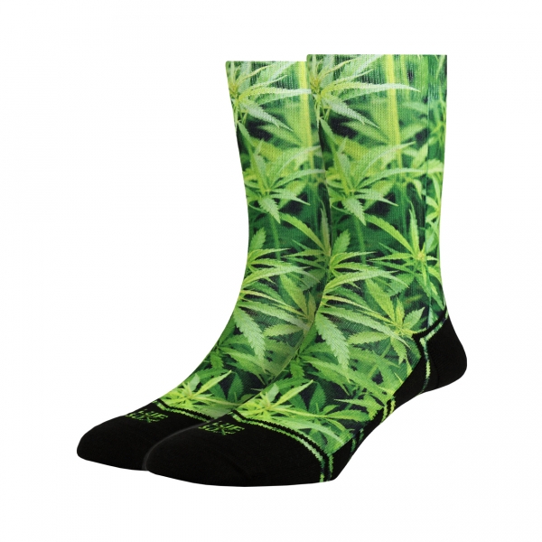 Classics Ganja