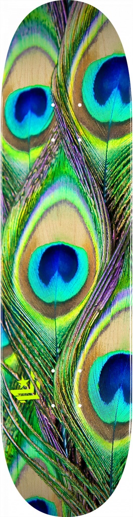 MINI-LOGO PEACOCK FEATHER MAPLE K20