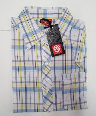 Shirt Hayes Purple Check