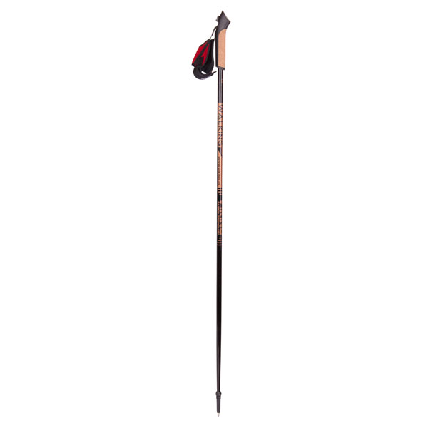 [1V5F1122120] 660/16/2121 (09) Nordic Walking Poles Para (120)