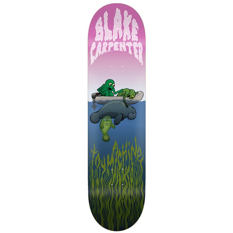 8.38 CARPENTER MANATEE
