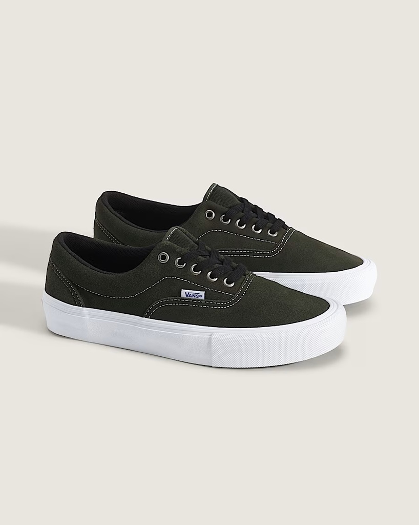 Skate Era Obs Fern