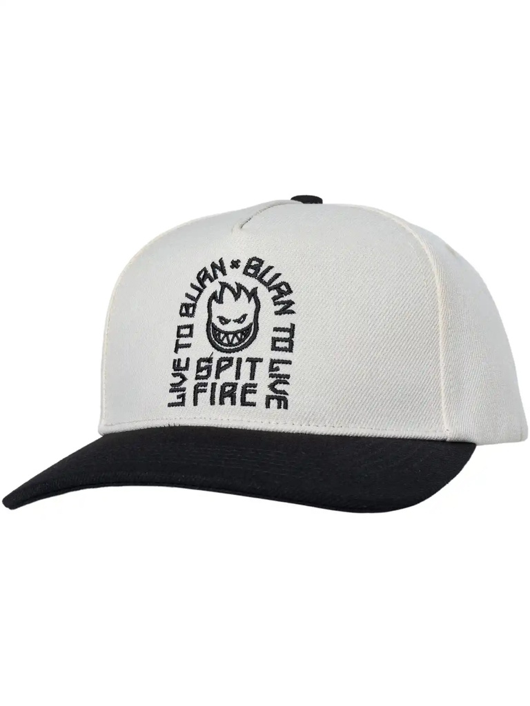 CAP SF LTB ARCH SNAPBACK WHT