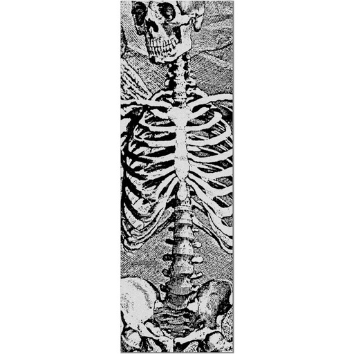 [GSSOPP105SASSC] 10,5 X 33 GRIP SO PP SAS SKELETON EA CLEAR