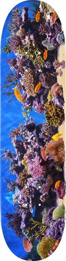 MINI-LOGO FISH TANK MAPLE K20