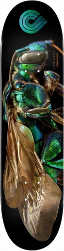 [9PPD0437800] BISS 242 8 K20 CUCKOO BEE