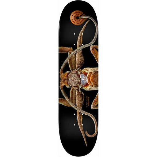 [9PPD0429825] BISS MARION MOTH 243 8.25
